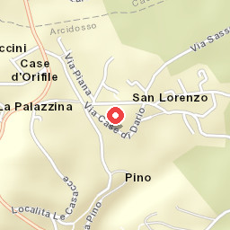 Il Pino Amiata