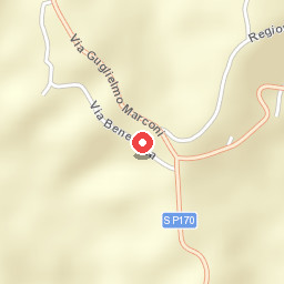 Il Cedro