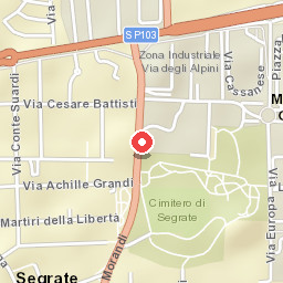 Fiore di Zucca