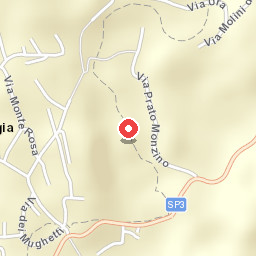 Il Vecchio Ciliegio