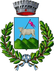 Buja