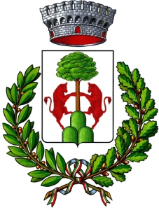 Stemma di Olmedo
