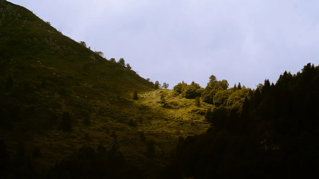 Anteprima Video