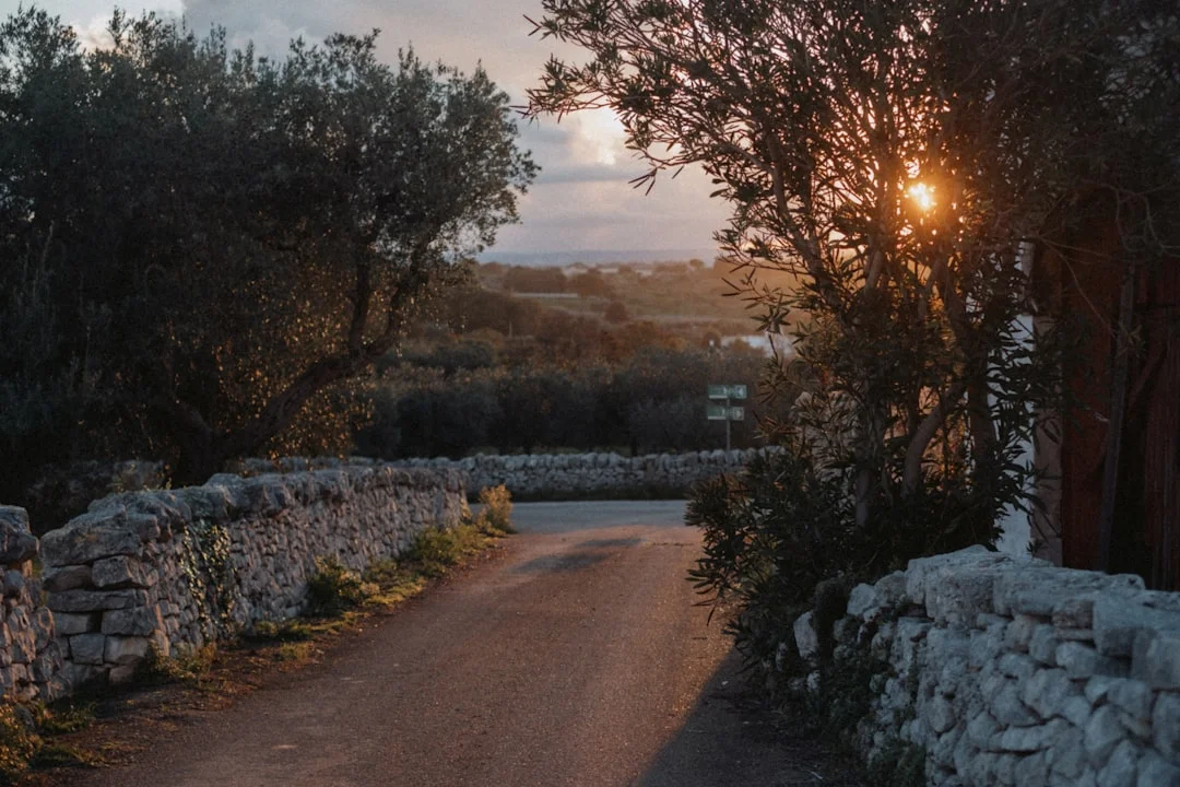 Anteprima Video