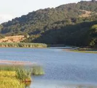 Torrenova